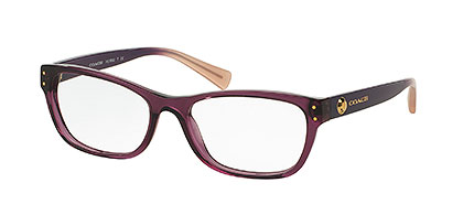 HC6082